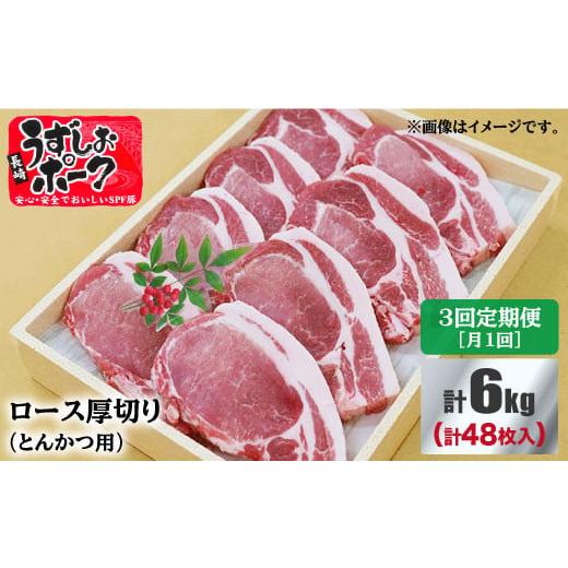 ふるさと納税 長崎県 西海市 【訳あり】【月1回2kg×3回定期便】長崎うずしおポーク ロース（とん...