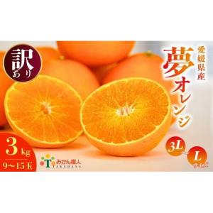 ふるさと納税 みかん・柑橘類 オレンジ 愛媛県 愛南町  訳あり みかん職人の夢おれんじ 3kg 柑橘 果物 フルーツ 愛媛 みかん職人武田屋 オレンジ 蜜柑 愛果28…｜ふるさとチョイス