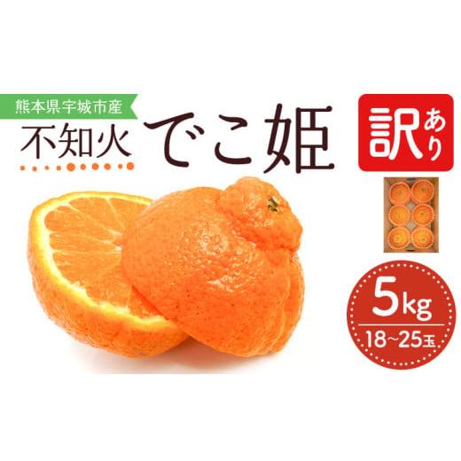 ふるさと納税 みかん・柑橘類 デコポン 熊本県 宇城市 訳あり 不知火 でこ姫 約5kg(約18〜2...