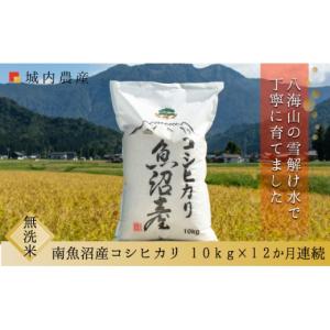 ふるさと納税 無洗米 新潟県 南魚沼市 令和7...の詳細画像1