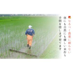 ふるさと納税 無洗米 新潟県 南魚沼市 令和7...の詳細画像4