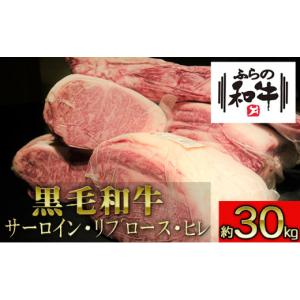 ふるさと納税 牛肉 サーロイン 北海道 上富良野町 農林水産大臣賞受賞 ふらの和牛・豪華部位半頭買いセット