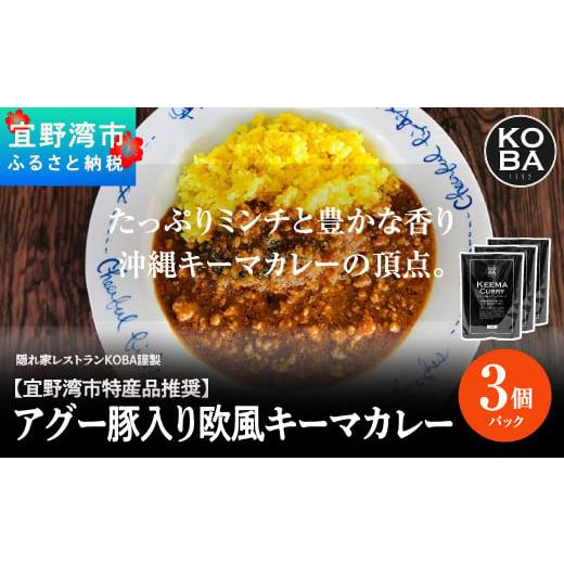 ふるさと納税 沖縄県 宜野湾市 【宜野湾市特産品推奨】アグー豚入りキーマカレー 3パック入（隠れ家レ...