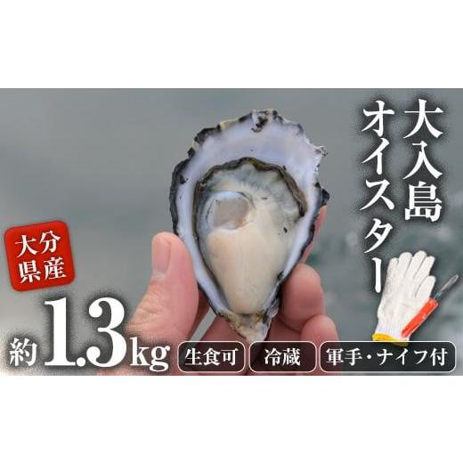 ふるさと納税 大分県 佐伯市 真ガキ 大入島オイスター (約1.3kg) ＜生食可・シングルシード養...