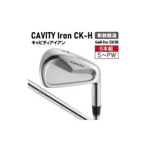 ふるさと納税 都城市 ゼクシオ 14 アイアン スチールシャフト 5本