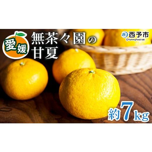 ふるさと納税 みかん・柑橘類 愛媛県 西予市  先行予約 無茶々園の甘夏 約7kg 果物 あまなつ ...