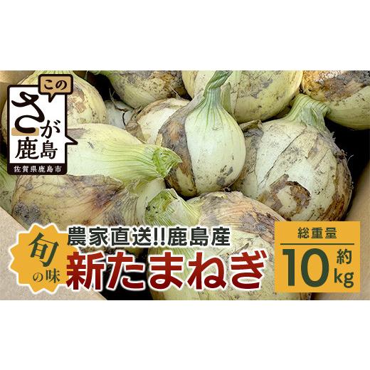 ふるさと納税 野菜類 玉ねぎ 佐賀県 鹿島市 先行受付 2027年発送 ｜ 鹿島産 新たまねぎ 約1...