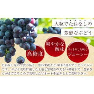 ふるさと納税 果物類 ぶどう 和歌山県 海南市...の詳細画像2