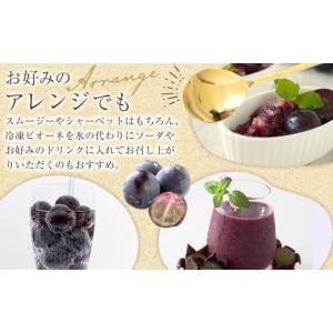 ふるさと納税 果物類 ぶどう 和歌山県 海南市...の詳細画像3