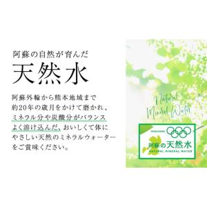 ふるさと納税 水・ミネラルウォーター 500m...の詳細画像2