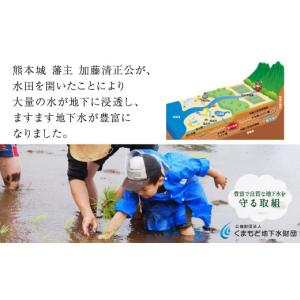 ふるさと納税 水・ミネラルウォーター 500m...の詳細画像5