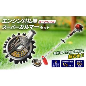 ふるさと納税 花・苗木 盆栽 兵庫県 加西市 草...の商品画像