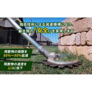 ふるさと納税 花・苗木 盆栽 兵庫県 加西市 ...の詳細画像2