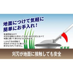 ふるさと納税 花・苗木 盆栽 兵庫県 加西市 ...の詳細画像4
