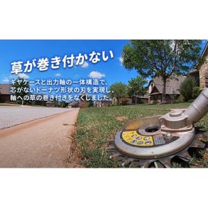 ふるさと納税 花・苗木 盆栽 兵庫県 加西市 ...の詳細画像5