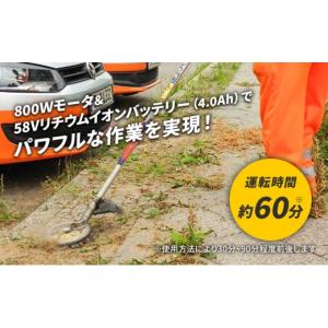 ふるさと納税 花・苗木 盆栽 兵庫県 加西市 ...の詳細画像4
