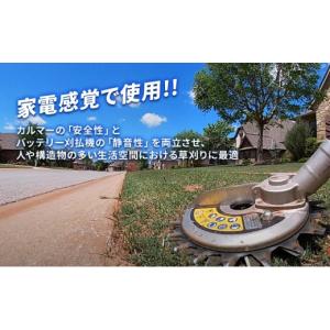 ふるさと納税 花・苗木 盆栽 兵庫県 加西市 ...の詳細画像5