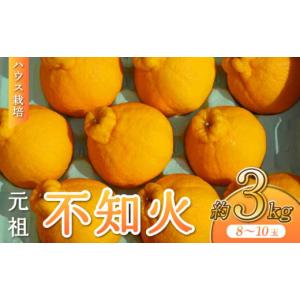 ふるさと納税 みかん・柑橘類 デコポン 熊本県 宇城市 先行予約 ハウス栽培 元祖 不知火 約3kg 8-10玉 2027年3月上旬から2027年4月下旬発送予定 玉揃え しらぬ…