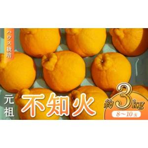 ふるさと納税 みかん・柑橘類 デコポン 熊本県...の詳細画像1