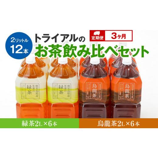 ふるさと納税 福岡県 田川市 【定期便】トライアルのお茶飲み比べセット（緑茶2L×6本・烏龍茶2L×...