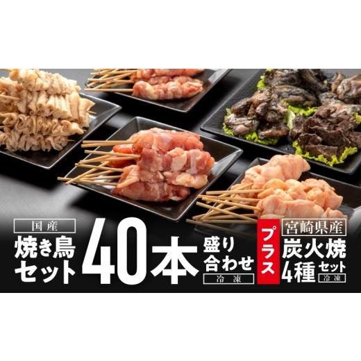 ふるさと納税 鶏肉 セット 宮崎県 宮崎市 焼き鳥セット4種(40本)盛り合わせ＆宮崎県産炭火焼4種...
