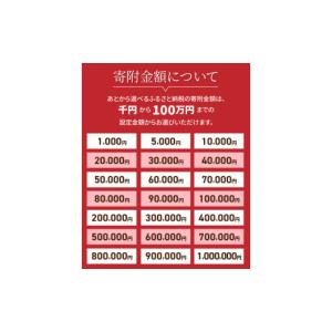 ふるさと納税 ポイント 山梨県 富士吉田市 あ...の詳細画像5