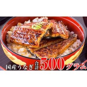ふるさと納税 うなぎ 和歌山県 有田市 国産うなぎ蒲焼きカット500gセット (A448-1)｜ふるさとチョイス