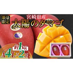 ふるさと納税 マンゴー 宮崎県 国富町 数量限定 2026年発送 宮崎県産 太陽のタマゴ A等級 4Lサイズ×2玉（合計約1kg） 2026年4月上旬〜6月末迄に順次出荷 果物…