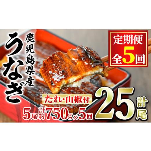 ふるさと納税 うなぎ 鹿児島県 東串良町  150041 定期便・全5回 東串良町のうなぎ蒲焼(無頭...