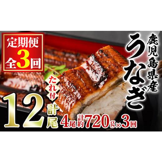 ふるさと納税 うなぎ 鹿児島県 東串良町  80042 定期便・全3回 東串良町のうなぎ蒲焼(無頭)...