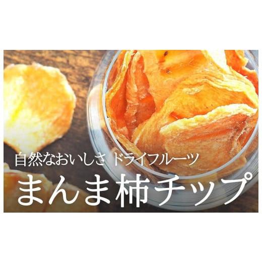 ふるさと納税 和歌山県 有田川町 ドライフルーツ 柿チップ 1kg ( 50g × 20袋 ) 和歌...