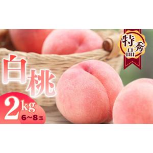 ふるさと納税 山形県 寒河江市 白桃 2kg 品種おまかせ （6〜8玉） 特秀品 山形県産【2024年8月上旬頃〜9月下旬頃発送予定】／ 果物 フルーツ 果実 産地直送 新…