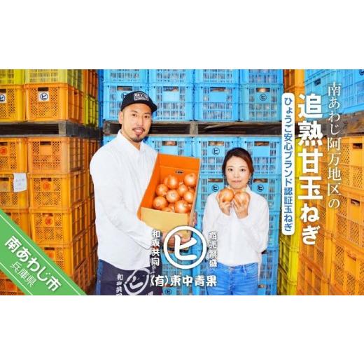 ふるさと納税 野菜類 玉ねぎ 兵庫県 南あわじ市 淡路島産玉葱 うずしお追熟甘玉ねぎ　10kg 追熟...