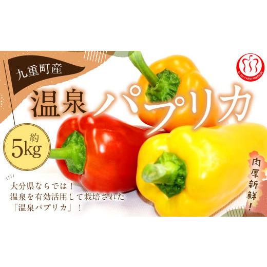 ふるさと納税 野菜類 大分県 九重町 大分県九重町産 温泉パプリカ 5kg