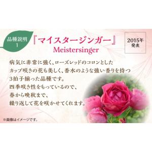 ふるさと納税 雑貨・日用品 花 埼玉県 飯能市...の詳細画像2
