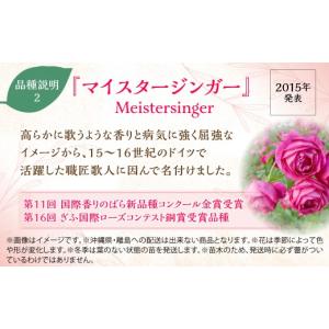ふるさと納税 雑貨・日用品 花 埼玉県 飯能市...の詳細画像3