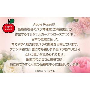 ふるさと納税 雑貨・日用品 花 埼玉県 飯能市...の詳細画像4