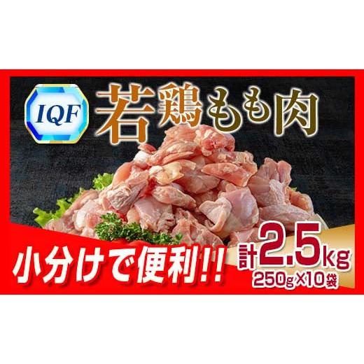 ふるさと納税 宮崎県 日南市 小分けで便利 カット済 若鶏 もも肉 計2.5kg 250g×10袋 ...