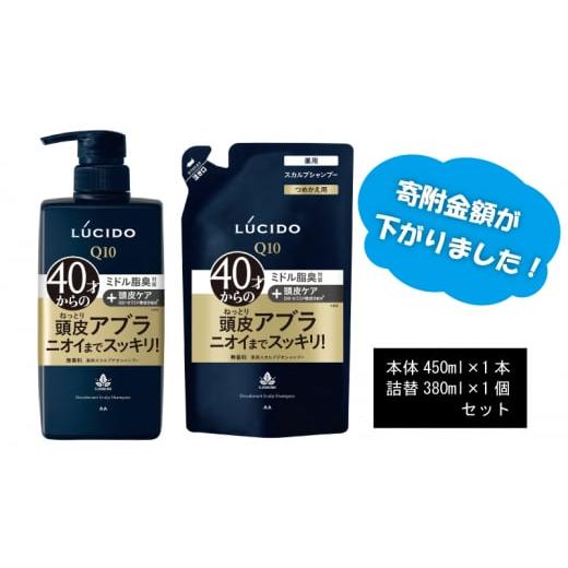 ふるさと納税 兵庫県 福崎町 [No.5256-0053] マンダム ルシード 薬用 スカルプ デオ...