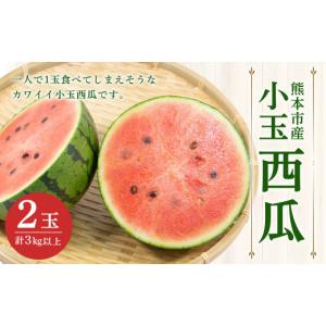 ふるさと納税 スイカ 熊本県 熊本市 小玉西瓜 ...の商品画像