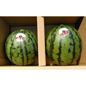 ふるさと納税 スイカ 熊本県 熊本市 小玉西瓜...の詳細画像3