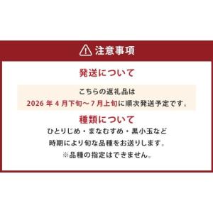 ふるさと納税 スイカ 熊本県 熊本市 小玉西瓜...の詳細画像4
