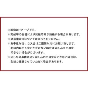 ふるさと納税 スイカ 熊本県 熊本市 小玉西瓜...の詳細画像5