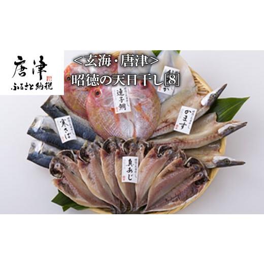 ふるさと納税 魚貝類 佐賀県 唐津市 昭徳の天日干し 1枚60g~90g 全16枚(真あじ開き60g...