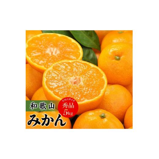 ふるさと納税 和歌山県 太地町 【予約受付】田村みかん　秀品5キロ／サイズおまかせ◆2024年11月...