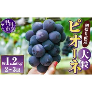 ふるさと納税 ぶどう 山梨県 甲州市 朝採り直...の詳細画像1