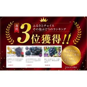 ふるさと納税 ぶどう 山梨県 甲州市 朝採り直...の詳細画像2