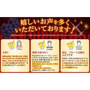 ふるさと納税 ぶどう 山梨県 甲州市 朝採り直...の詳細画像3