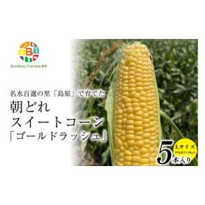 ふるさと納税 とうもろこし 長崎県 島原市 DE...の商品画像
