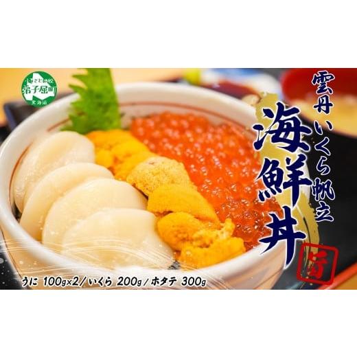 ふるさと納税 ウニ 北海道 弟子屈町 3585. うに いくら ほたて 豪華 海鮮 セット 4人前 ...